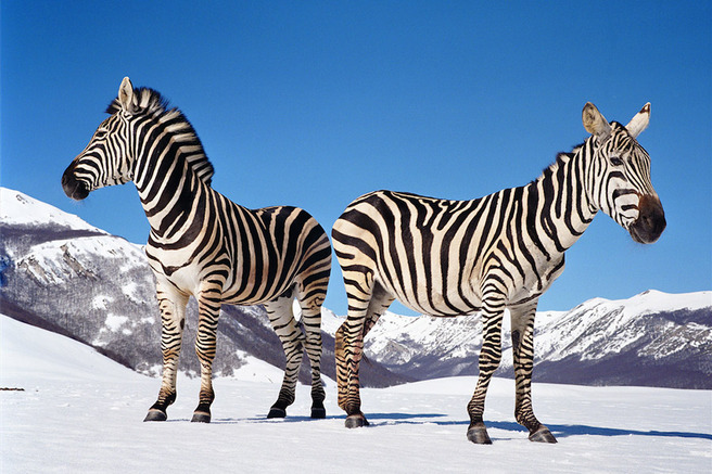 �������� �� ��� ������