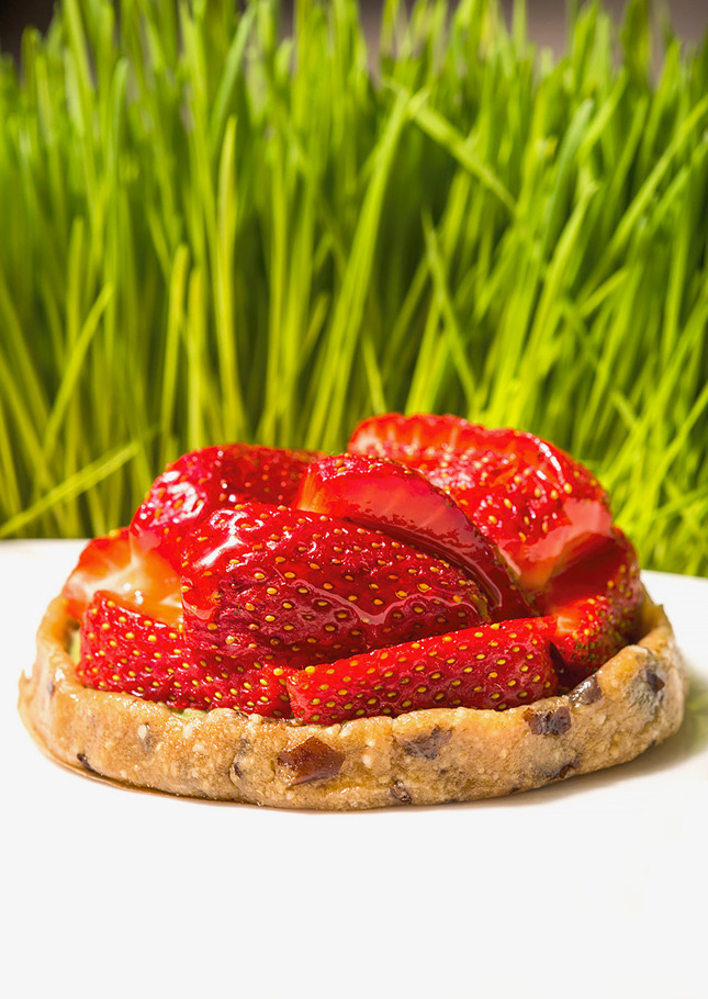 ������ � �������: ����� ������������ �������� Shanti Green