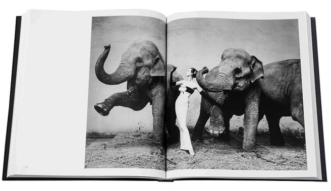 ����� � ������ Dior � ��������� ������� �������