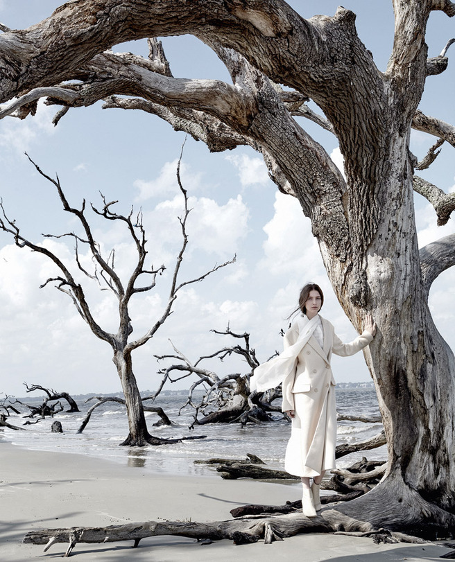 ������ ����