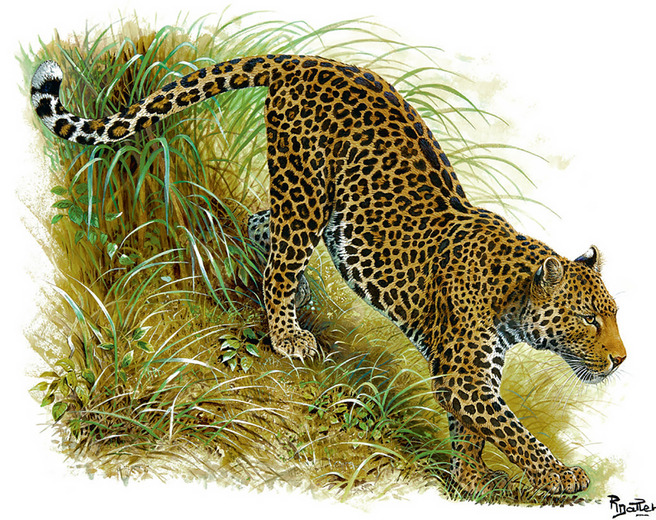 Herms �� ������ ����� ��������