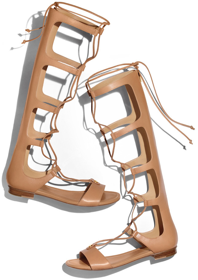 ����� ���� ������ ������� ���� ������� � ���-A�������