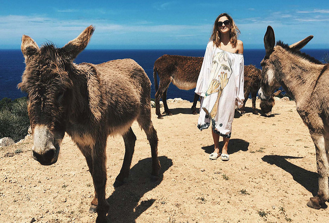 ����� ������ �� ����� �������� � ������� ������� ������ ����� ����