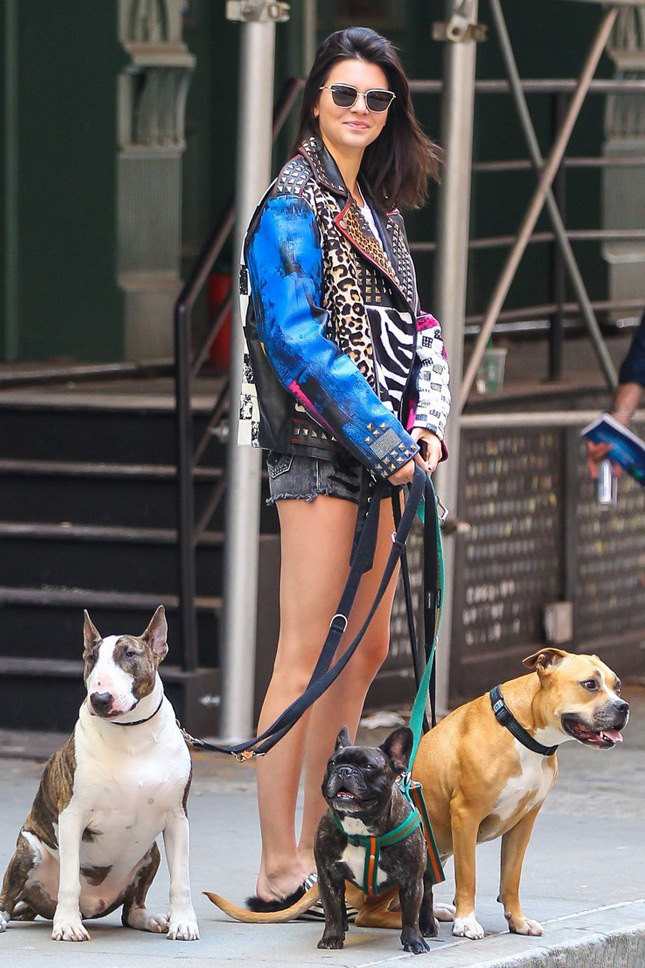 ������� ������� � ���-�����